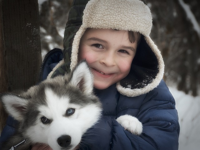 Giggling boy happily hugging his pet Husky puppy.
