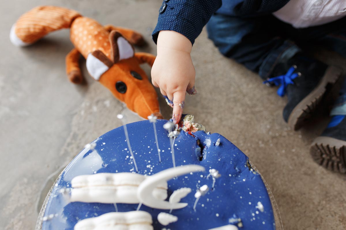 Foxes have surprisingly small stomachs. They eat little, but often throughout the day..