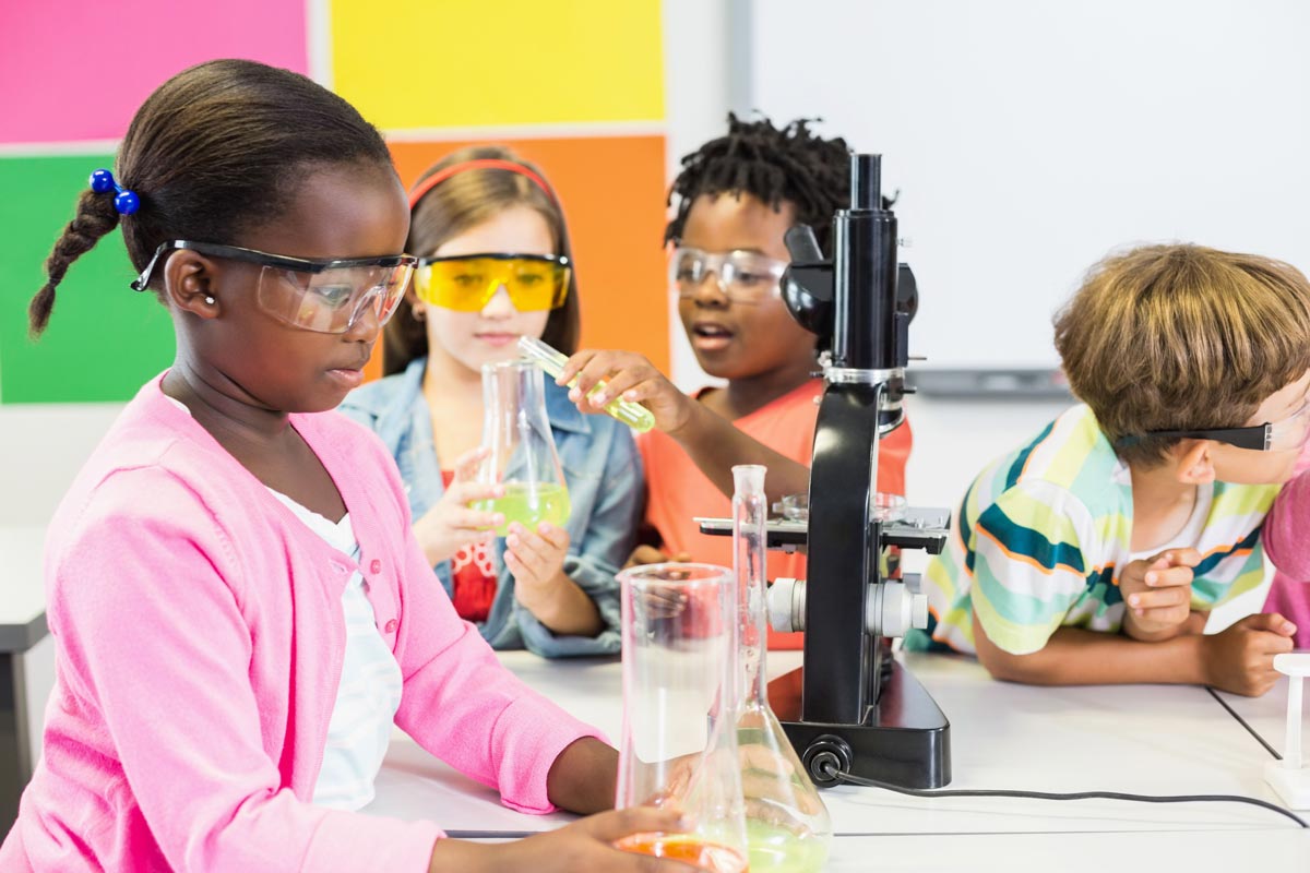 Biology explores the origins, evolution and more of humans, plants, and animals.