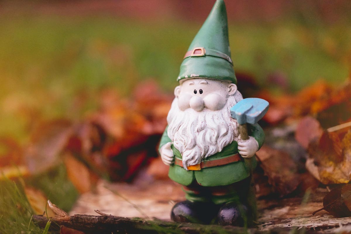 Gnomes divide opinions from being banned at Chelsea Flower Show, to elsewhere being celebrated.