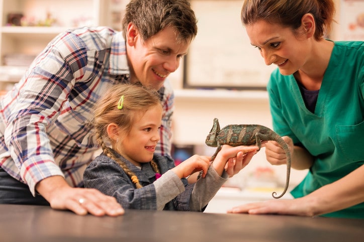 Lizards and bearded dragon make good pets and are fun to give quirky names to.