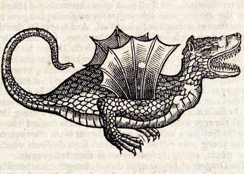 Halflings are popular characters in Dungeons & Dragons.