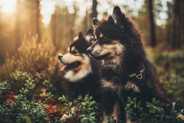 Give your favorite duo the best names.