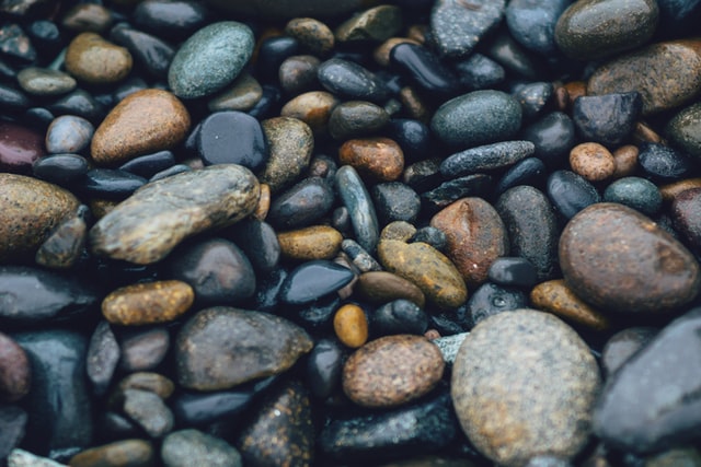Rocks have many advantages over other live pets.