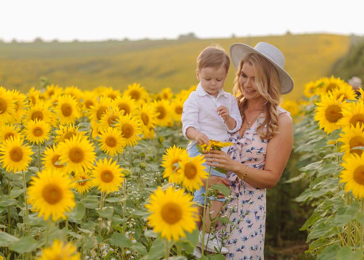 Sunflower puns are funny because they use wordplay to make us laugh.