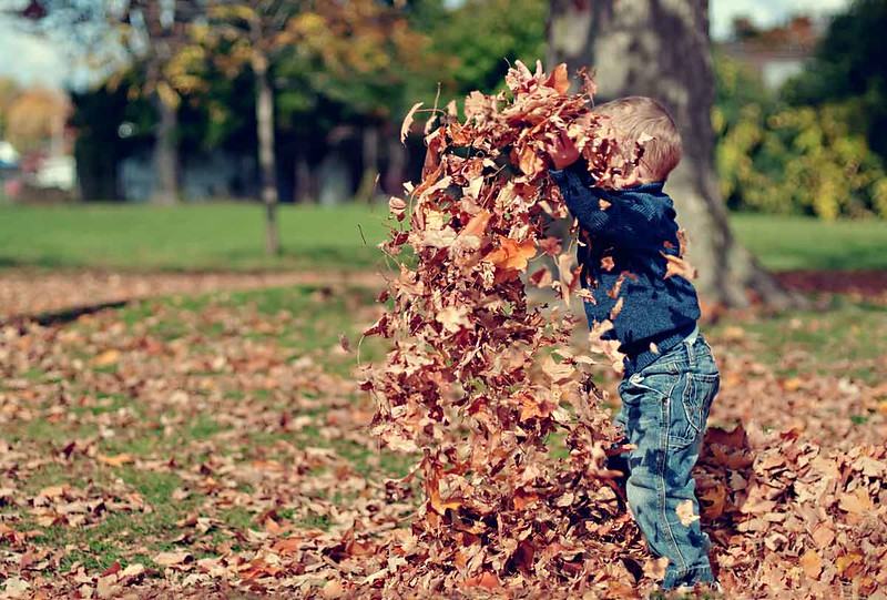 Autumn is a time for celebration, and these nature-inspired autumn baby names do just that.