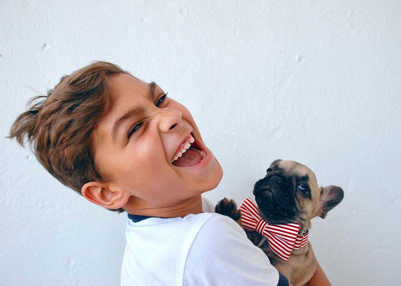 Our pet dogs are so adored and are some of the best companions that they deserve a really great punny name.