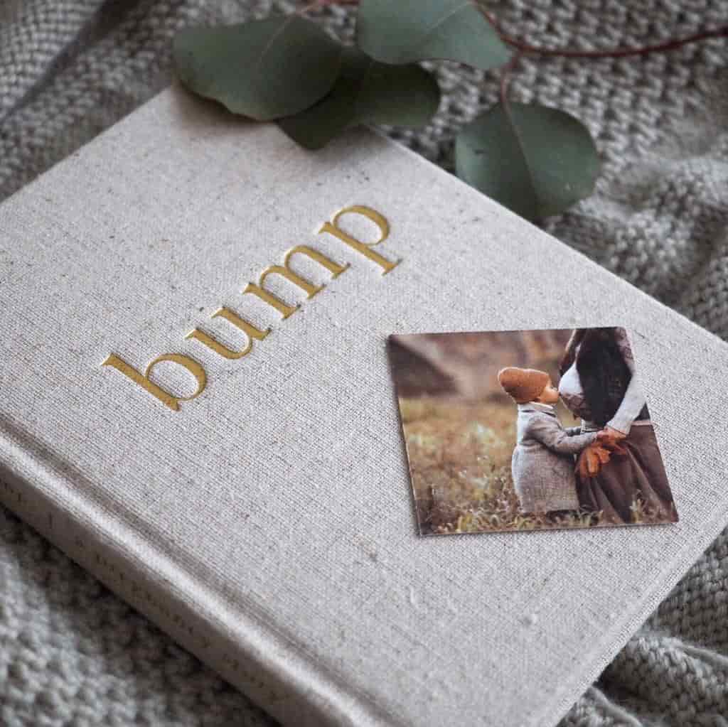 Meminio Bump Diary