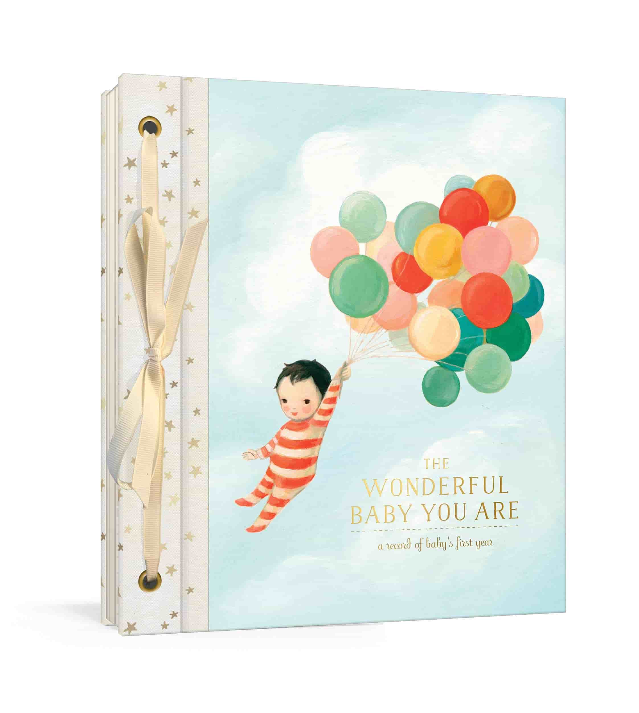 The Wonderful Baby You Are: A Record of Baby’s First Year by Emily Winfield Martin