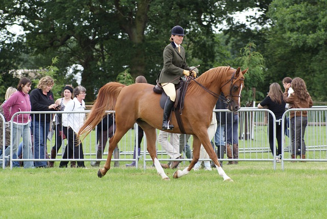 Horse riding is an incredibly impressive skill.