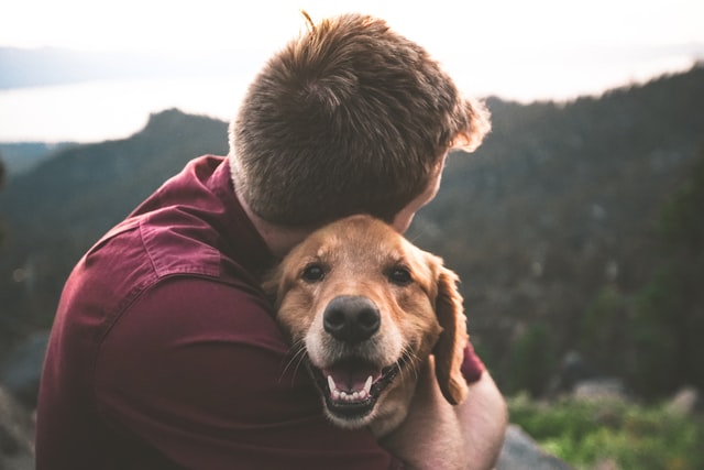 Celtic names of female dogs have varied meanings.
