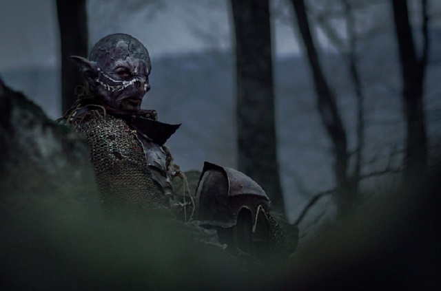 Orc's are strong and daring, but often cruel.