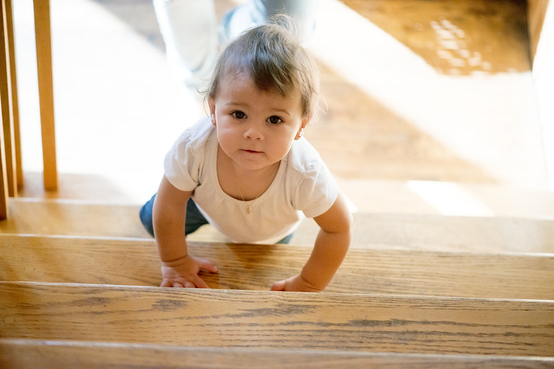 when do babies crawl up stairs