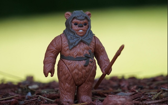 Ewoks pictures are popular among 'Star Wars' fans.