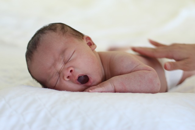 Feminine names are a cute choice.