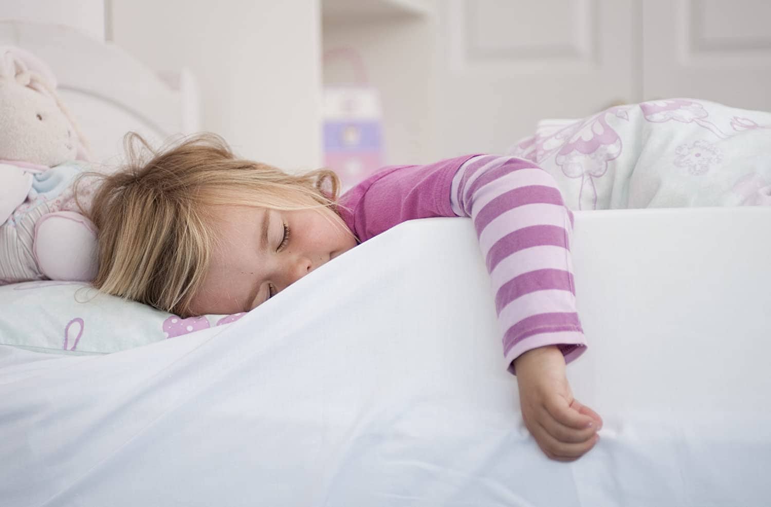 Purple Daises Foam Bed Guard Bed Rail
