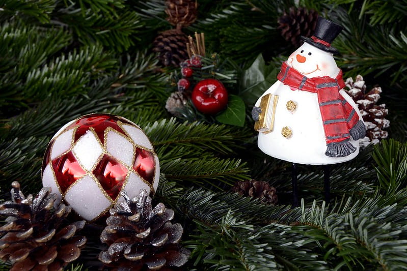 The festive season is the perfect time to go on a Christmas pine cone hunt.