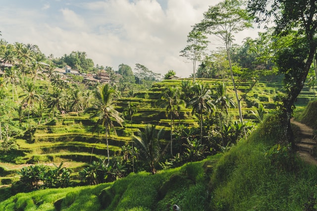 Balinese surnames are not common as most Balinese children are named after their birth order.