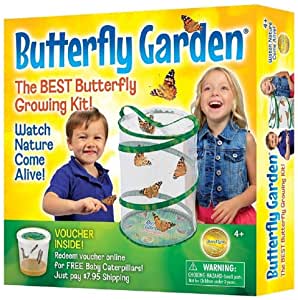 Insect Lore Butterfly Growing Kit.