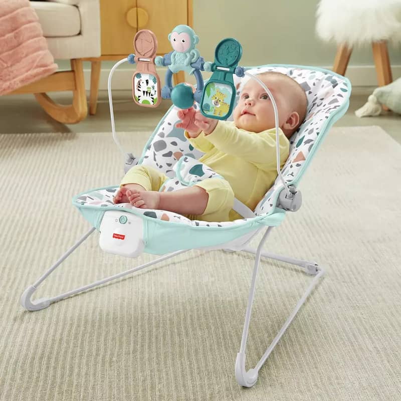 Fisher Price Signature Terazzo Bouncer