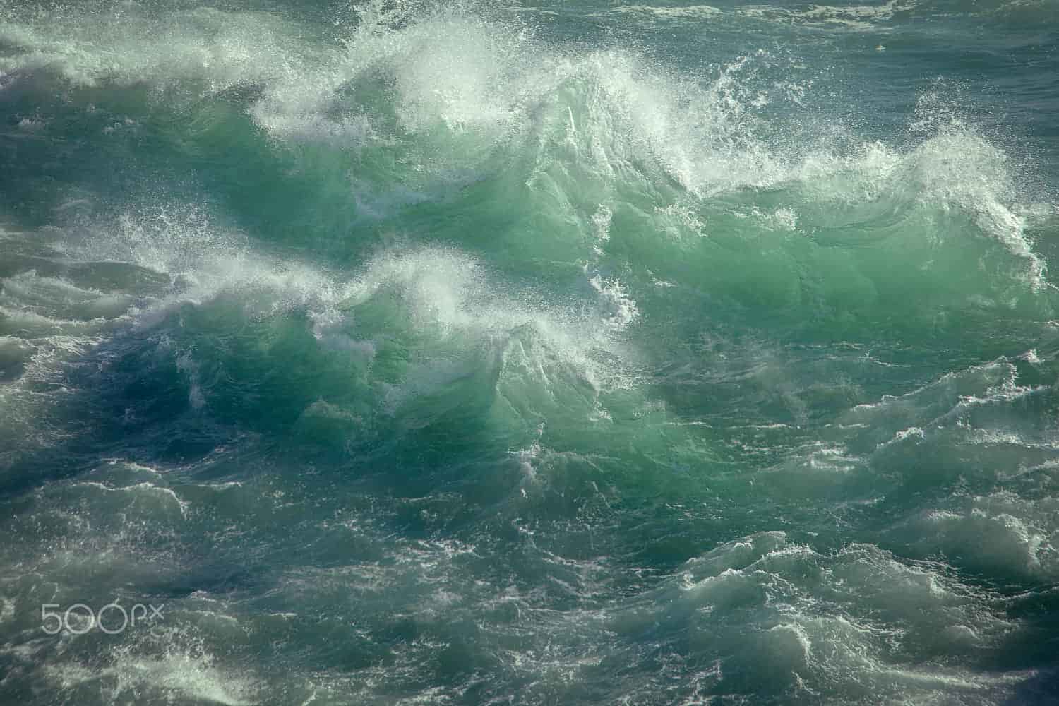 The water genasi identify with water as their element and inhabit the qualities of this element