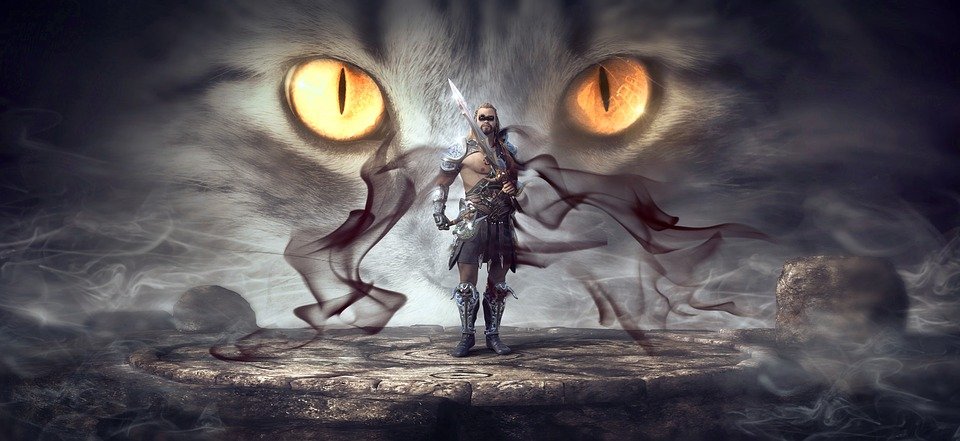Catfolk are nimble warriors in the game