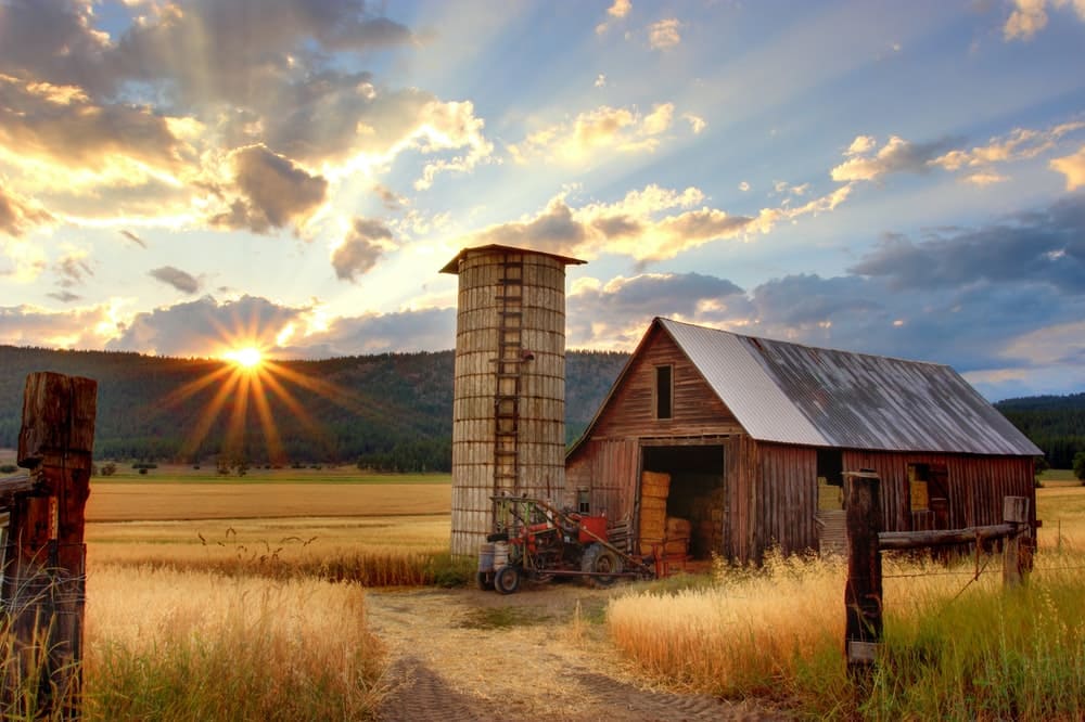 There are many cute names you could have for your farm or farmers' names