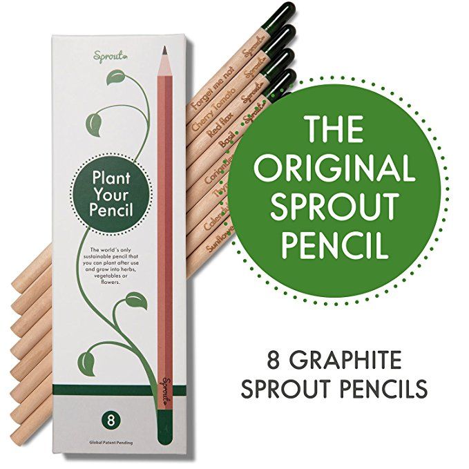 Graphite Plantable Pencils With Seeds In Eco-Friendly Wood, Sprout Pencils.