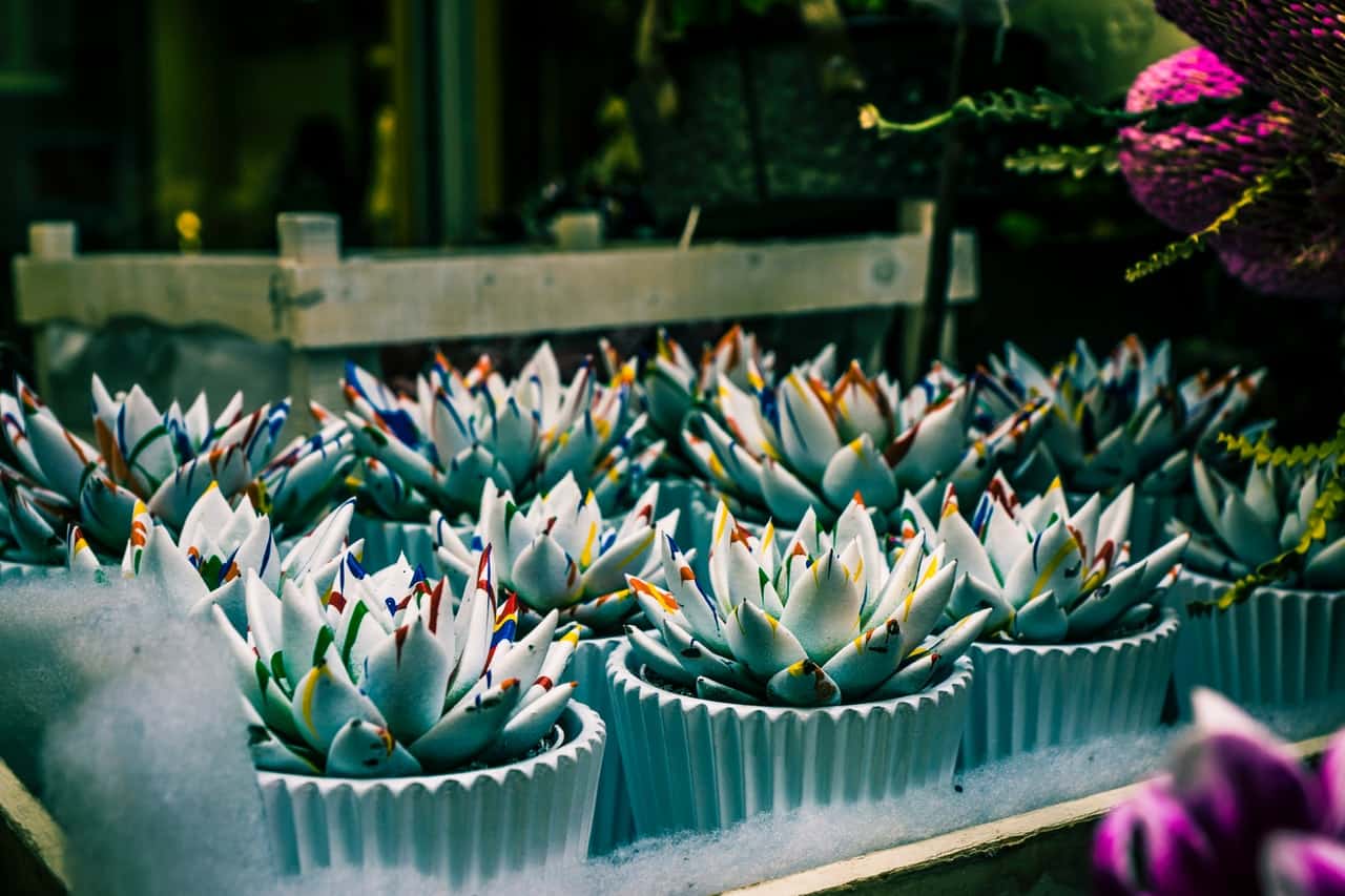 People with green fingers tend to be happier than others.