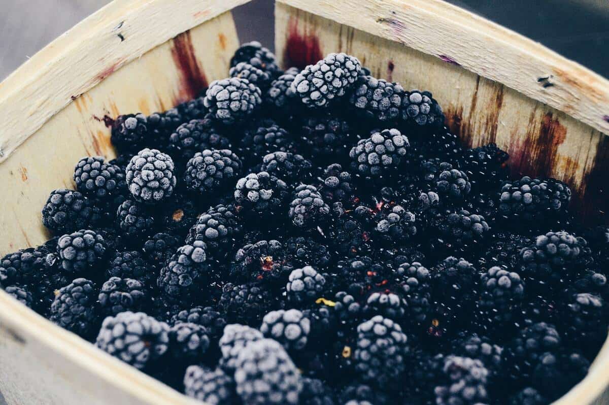 Blackberry puns or raspberry puns make a great ice breaker for Thanksgiving, Christmas, Halloween, and more such occasions.
