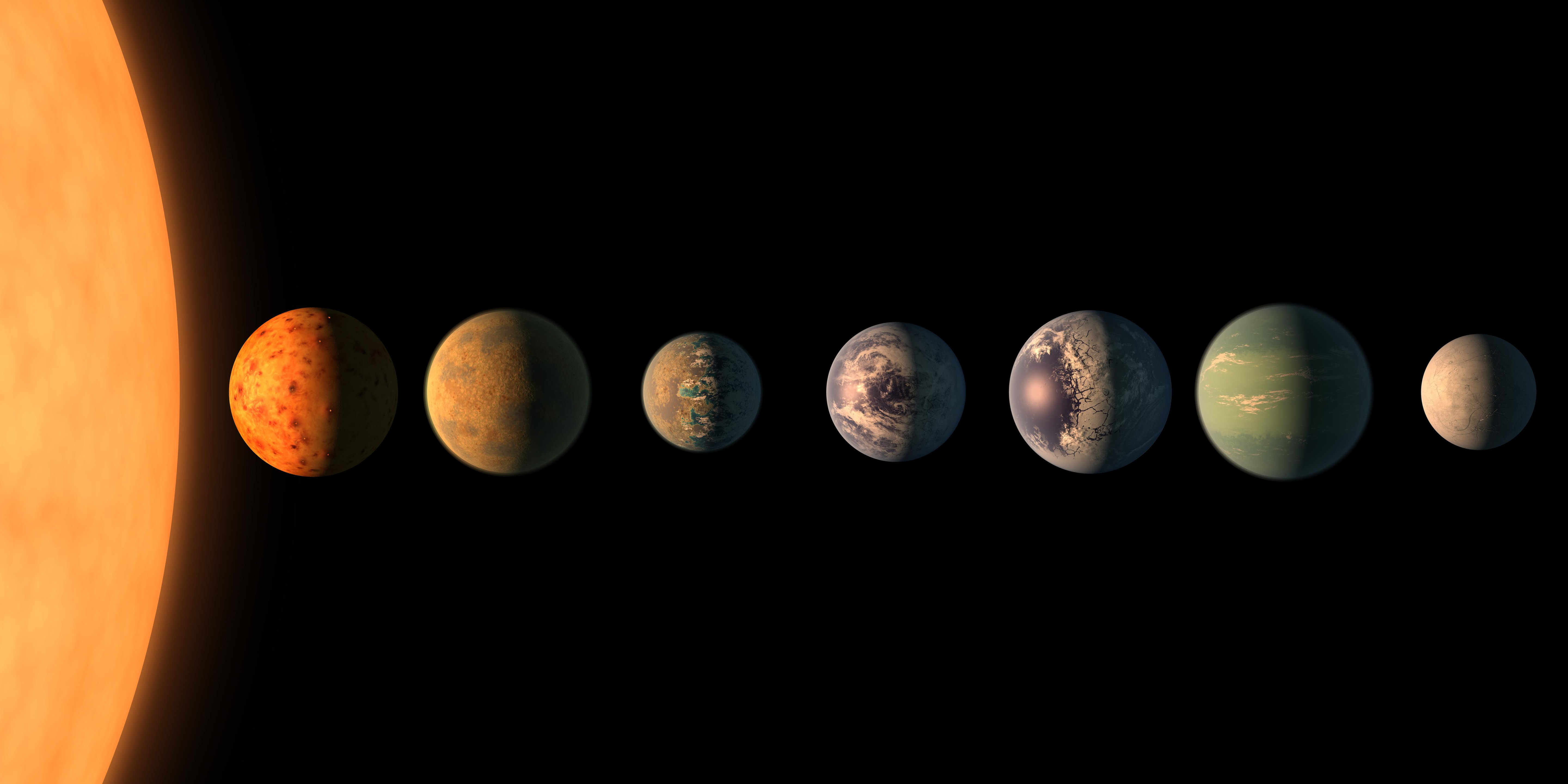 Group names related to space are quirky and fun.