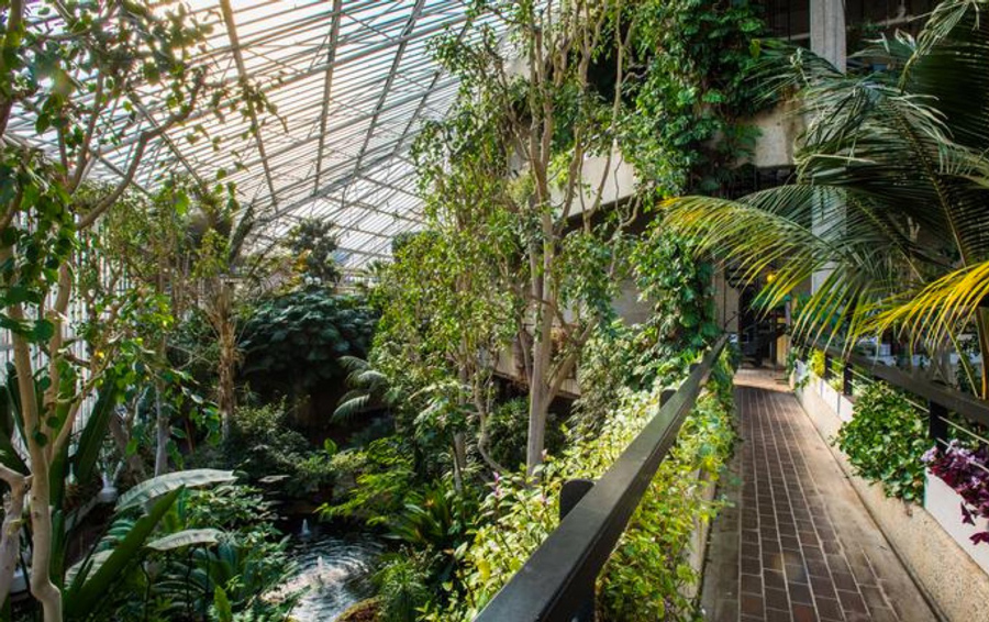 The Barbican Conservatory is a great escape from the hustle and bustle of city life.