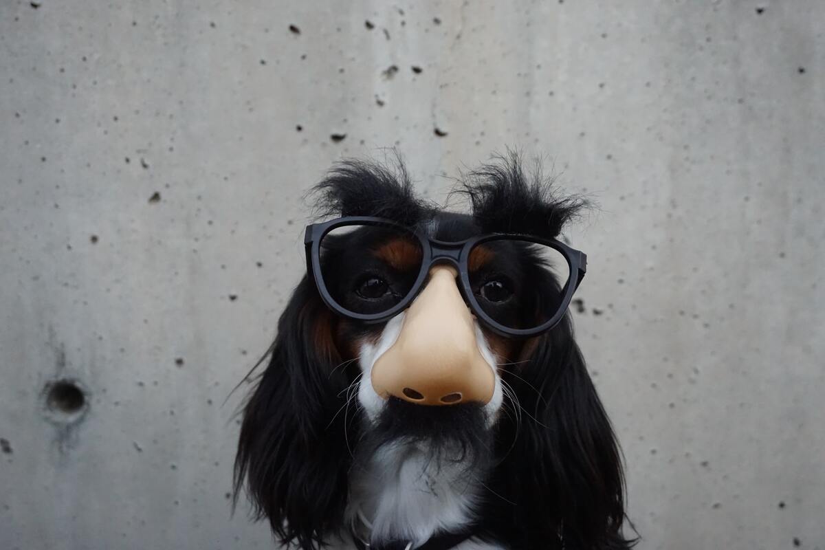 Nose jokes can be a little nasty but they'll never be smelly.