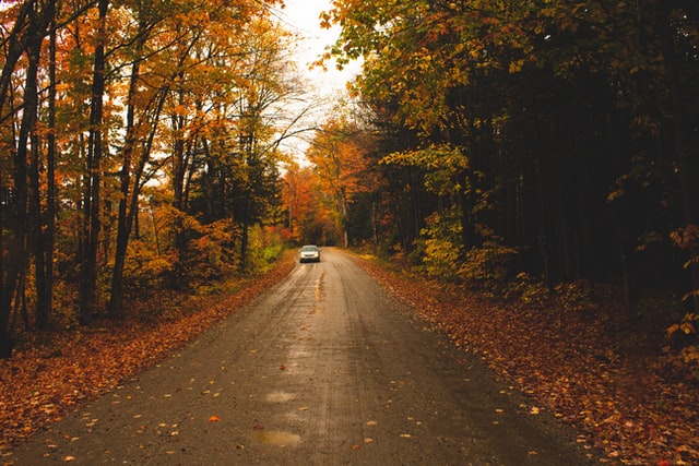 A large proportion of the land in Vermont is covered in forests.