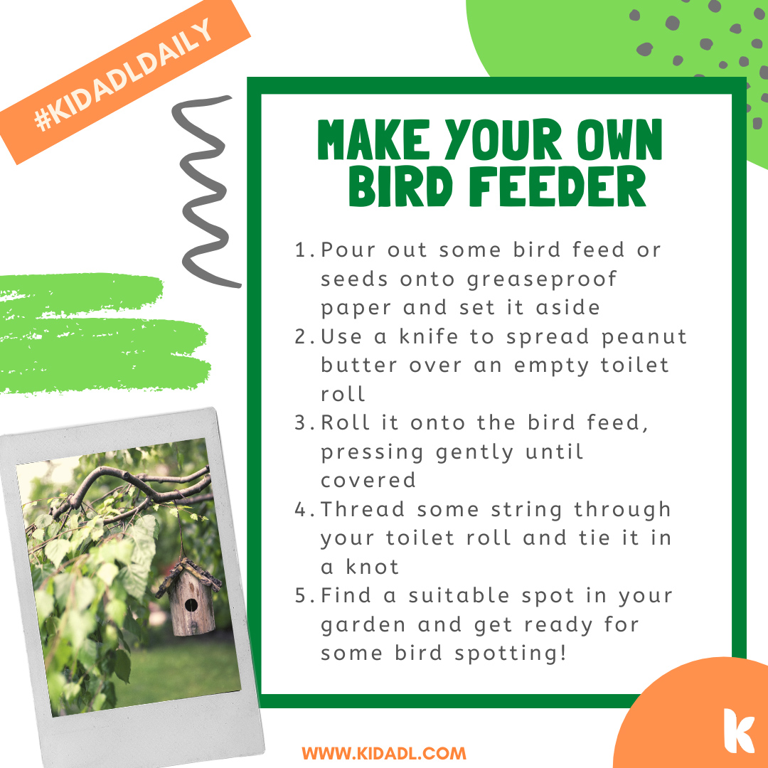 DIY bird feeder.