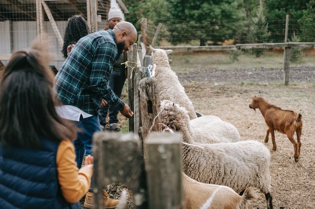 Farming with the family can be a fun and wholesome activity.