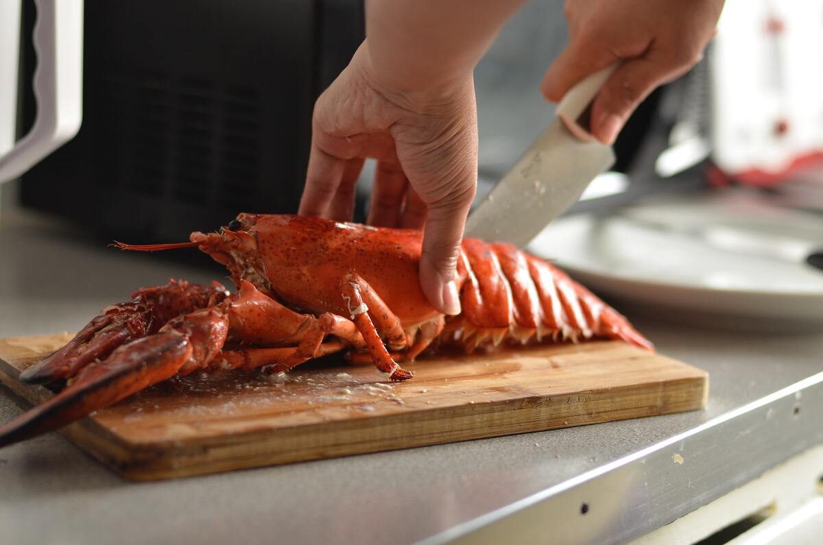 Lobster humor and crab puns are classy ones to catch.