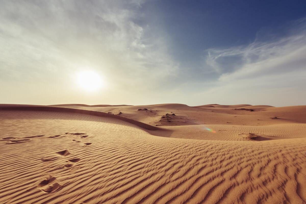 You can easily undersand puns that may be related to the desert.
