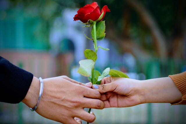 Roses are a great way to express your love to others.