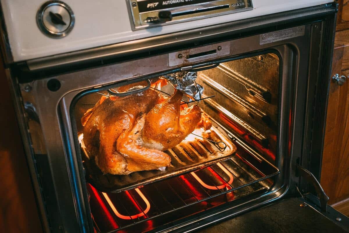 Turkey can be a great way to make your children happy and also craft delicious jokes.
