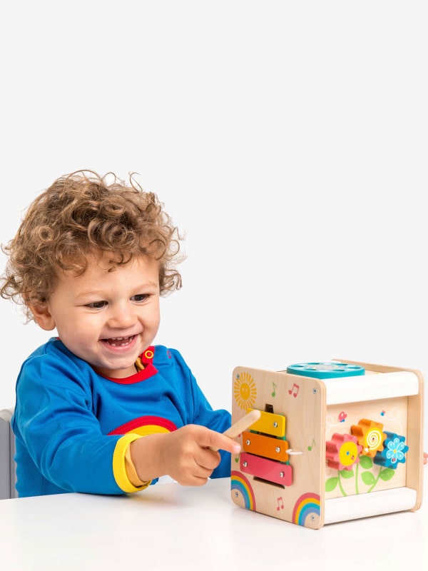 Le Toy Van Petit Activity Cube.
