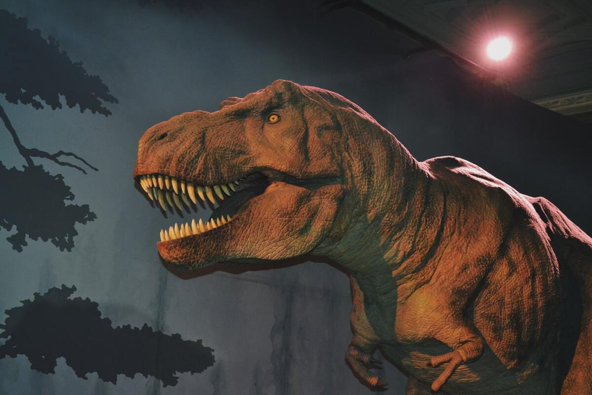 T-Rexes had amazing eyesight with binocular vision!