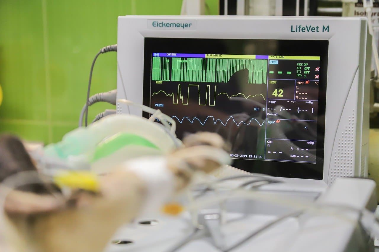 Immediate CPR improves chances of survival after cardiac arrest by up to 300%.