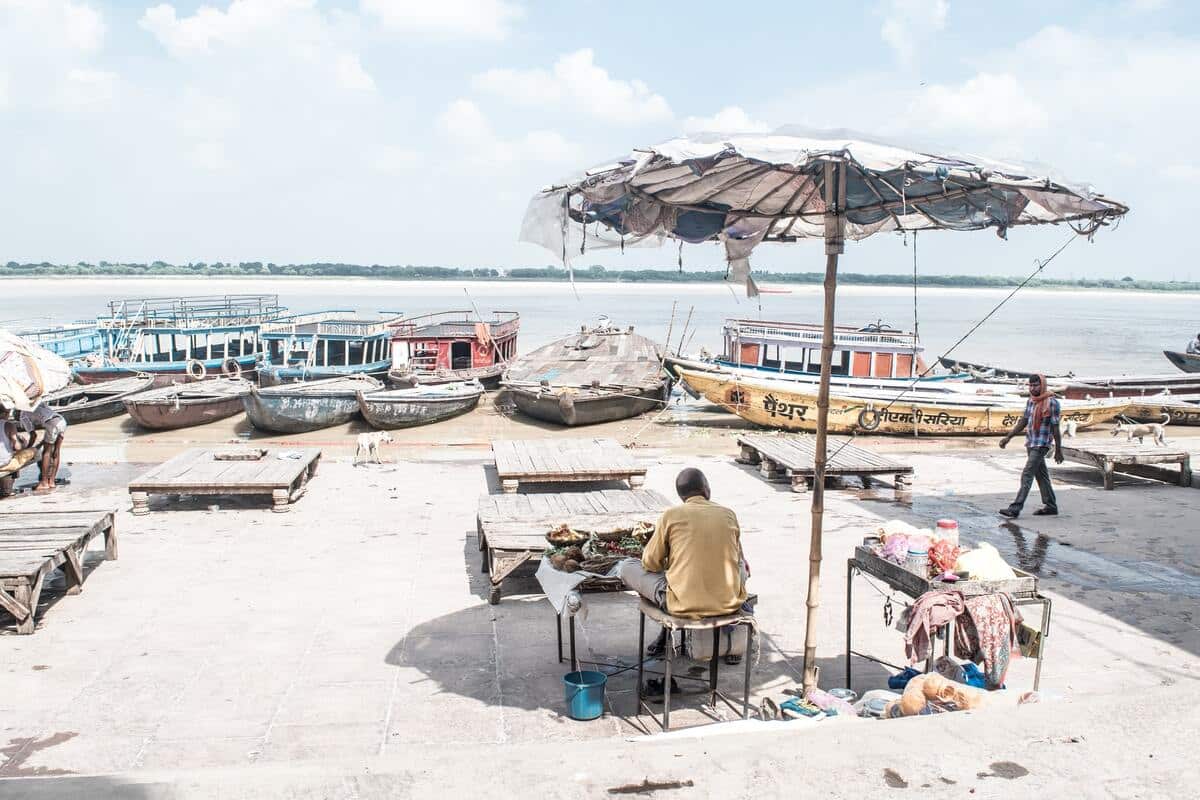 The ganges river shark lives in the Ganges River.