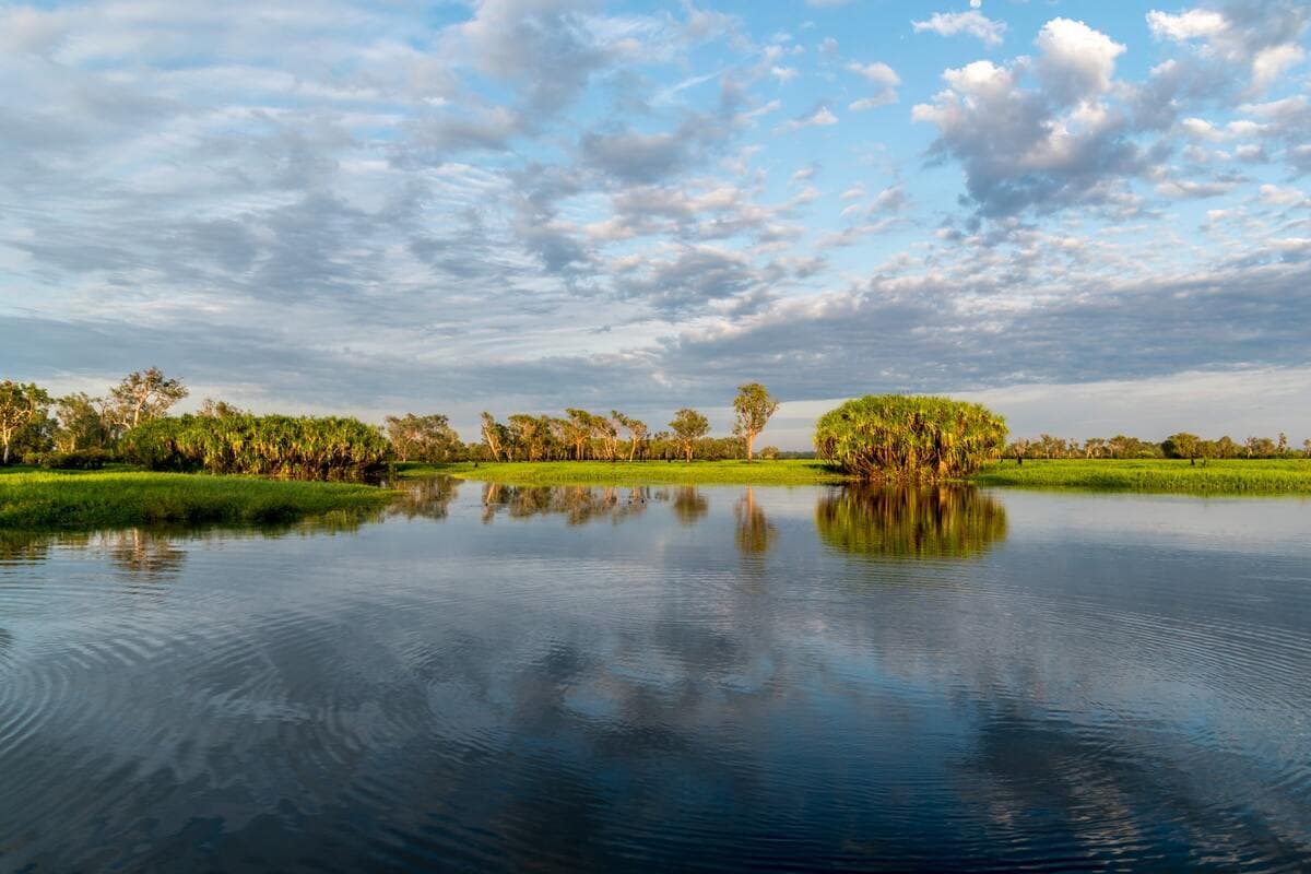 The speartooth shark can be found in the Kakadu National Park.