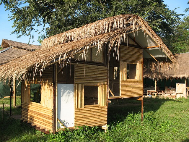 Bamboo is often used as a construction material for building homes.