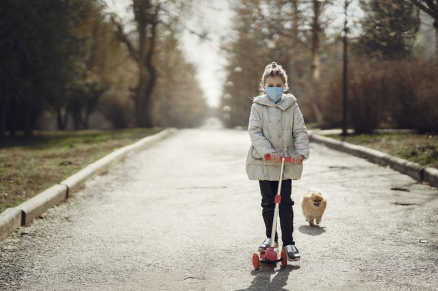 Pomeranians are the perfect pets for families with older children.
