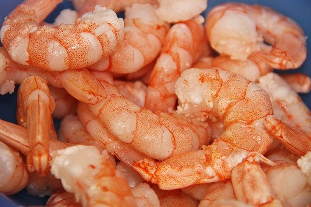 Shrimps have an immense nutritional value and are full of protein.