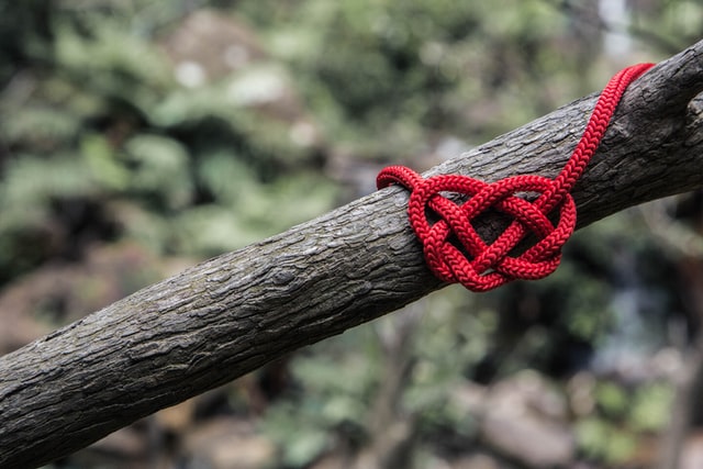 The love knot is a unique Celtic love symbol.