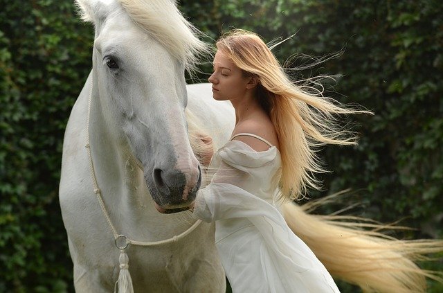 Mythical horses are found across cultures.